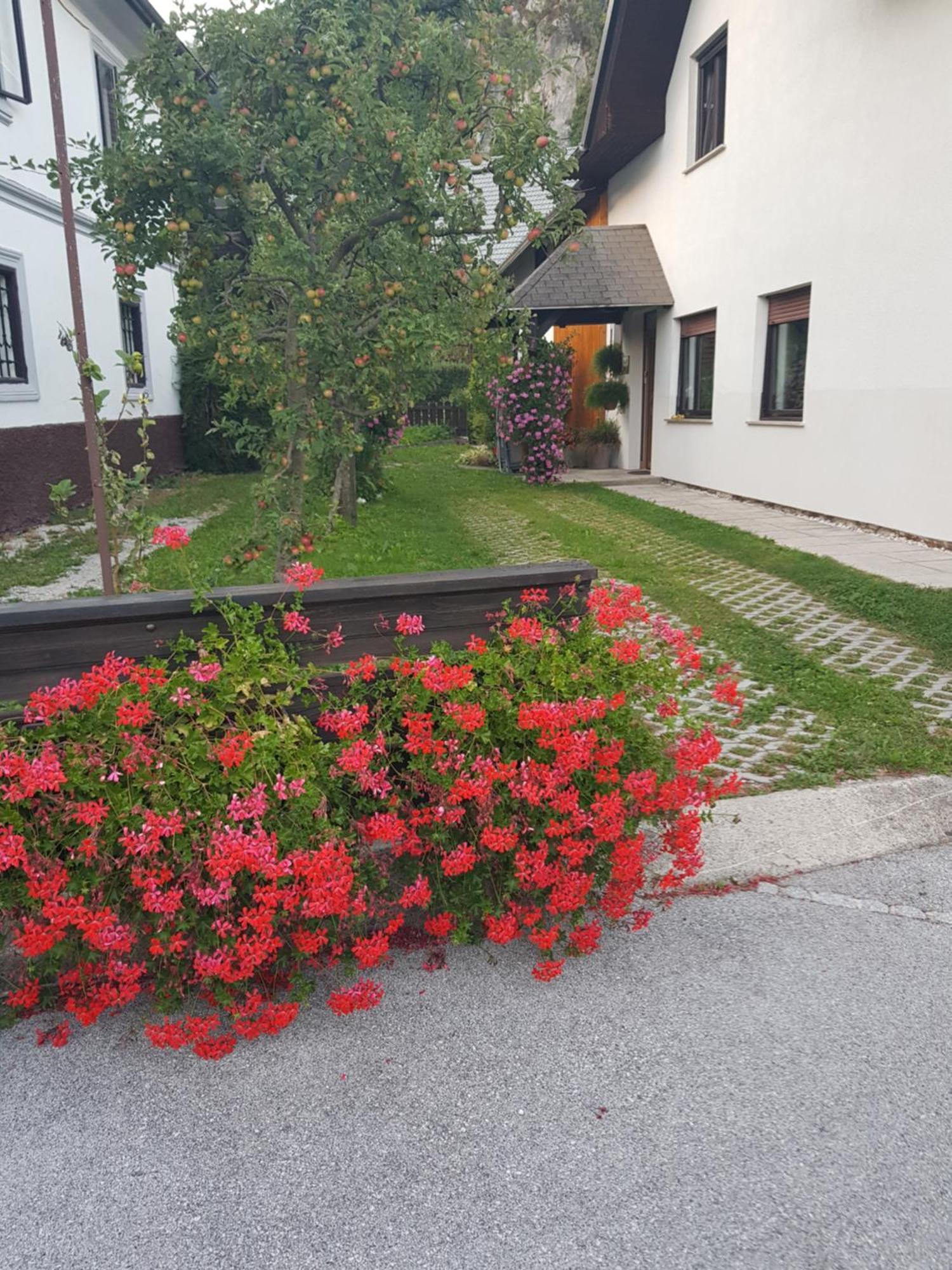 Apartments Gregorc Bled Exterior photo